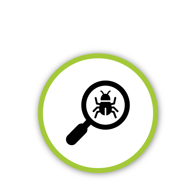 icon of a magnifying glass with a bug under the lens